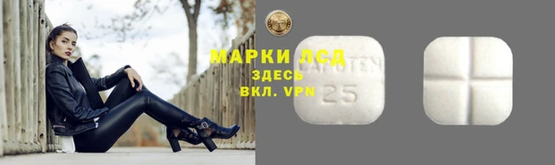 PSILOCYBIN Балабаново