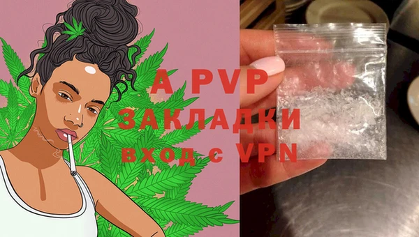 ECSTASY Балахна