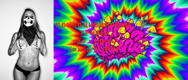 PSILOCYBIN Балабаново