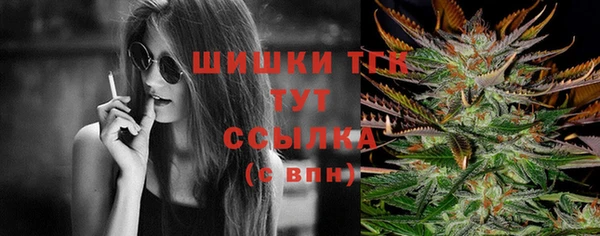 PSILOCYBIN Балабаново