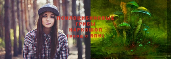 PSILOCYBIN Балабаново