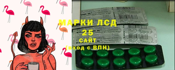 эйфоретик Няндома