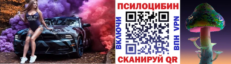цена   Боровичи  Псилоцибиновые грибы прущие грибы 